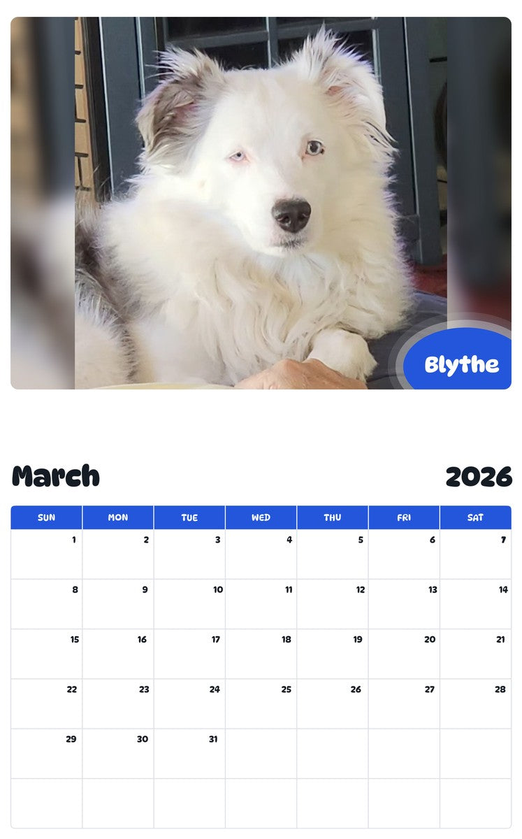 November 2025 - October 2026 Blythe - Pawidols Pet Calendar