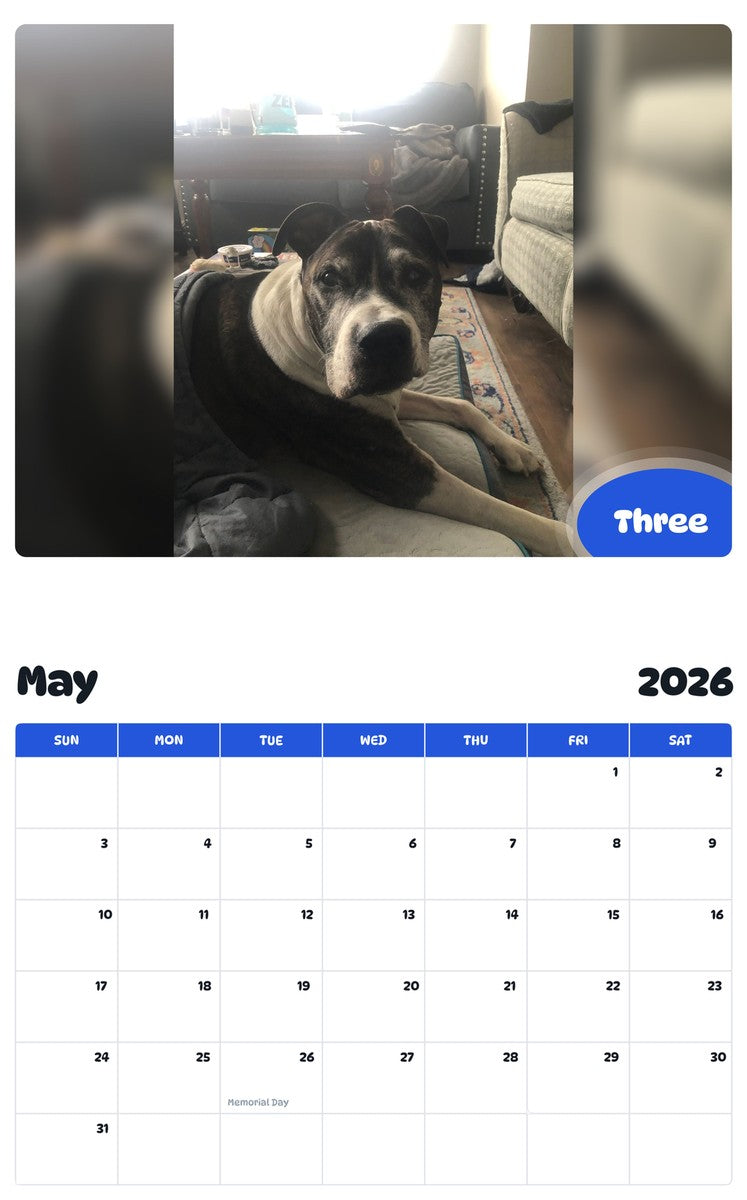 2026 - 2027 Three - Pawidols Pet Calendar