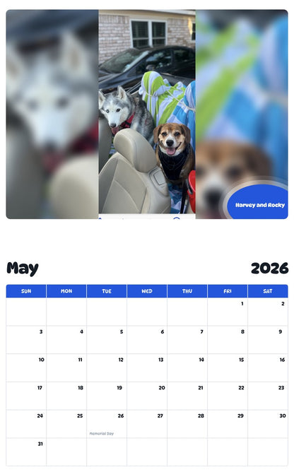 2026 - 2027 Harvey and Rocky - Pawidols Pet Calendar