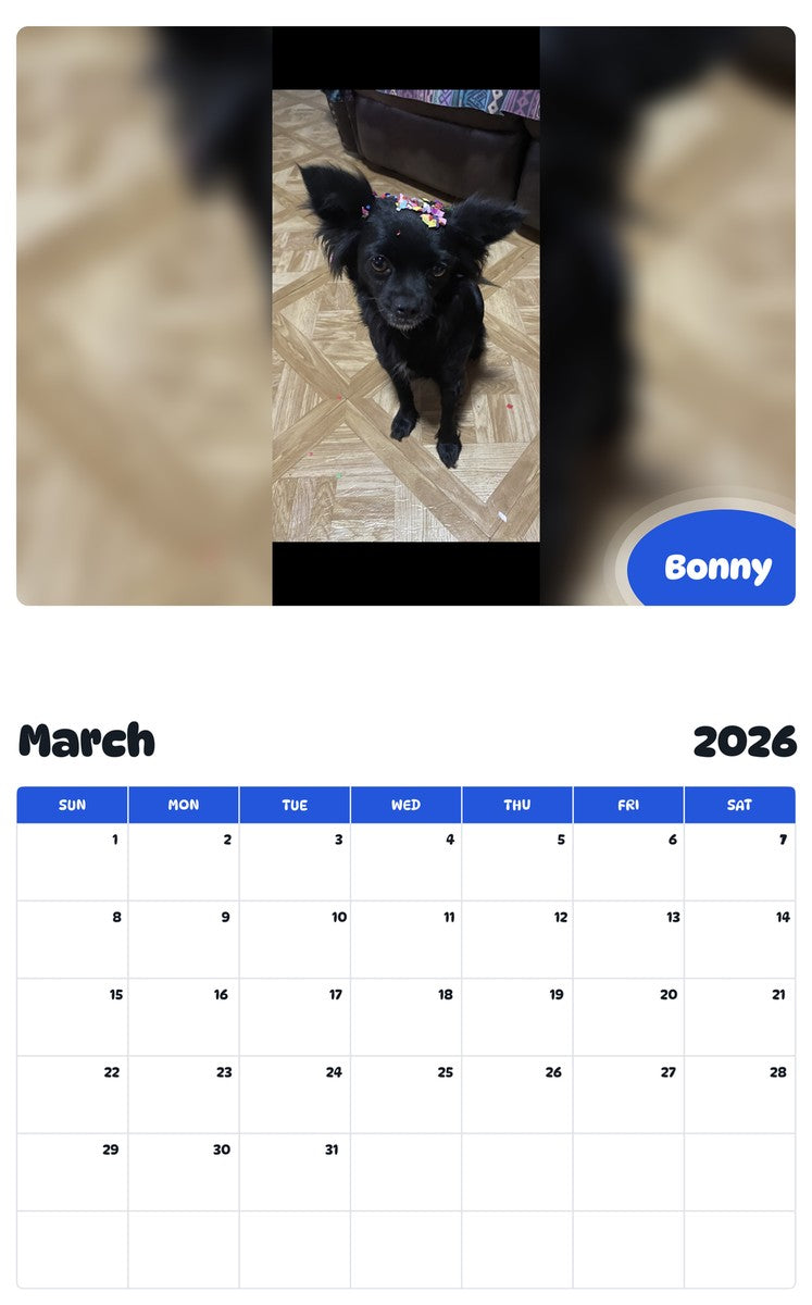 November 2025 - October 2026 Bonny - Pawidols Pet Calendar