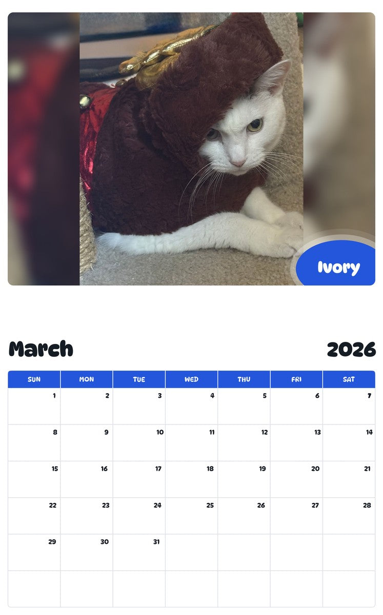 November 2025 - October 2026 Ivory - Pawidols Pet Calendar