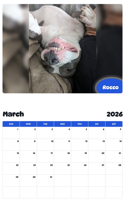 November 2025 - October 2026 Rocco - Pawidols Pet Calendar