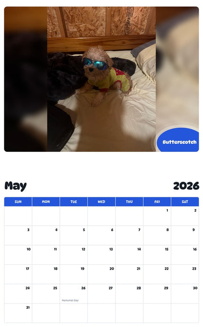 2026 - 2027 Butterscotch - Pawidols Pet Calendar