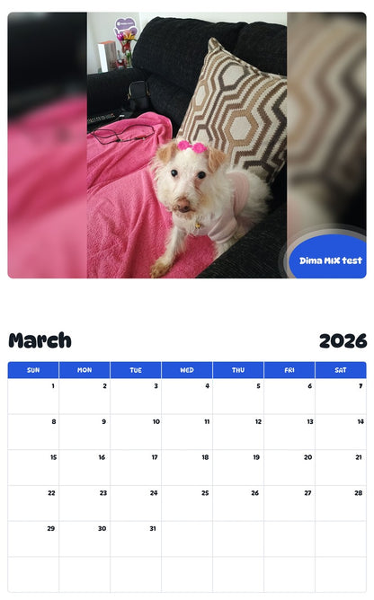 November 2025 - October 2026 Dima MIX test - Pawidols Pet Calendar