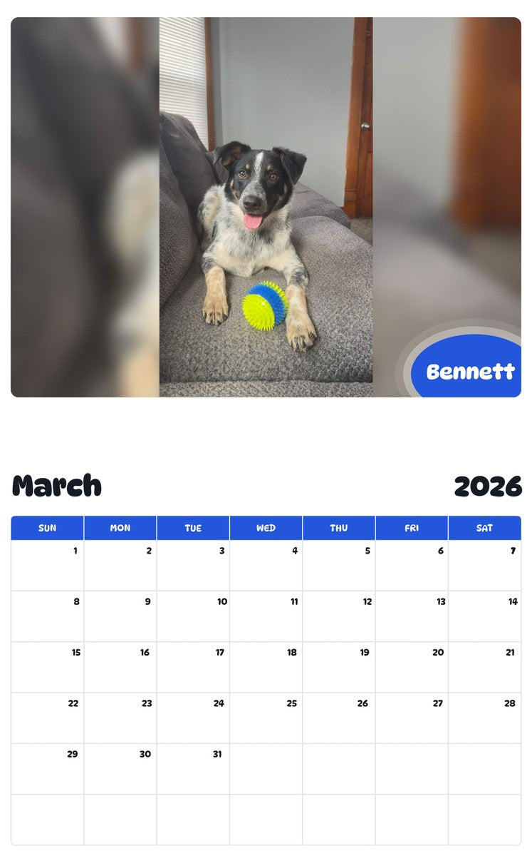 November 2025 - October 2026 Bennett - Pawidols Pet Calendar