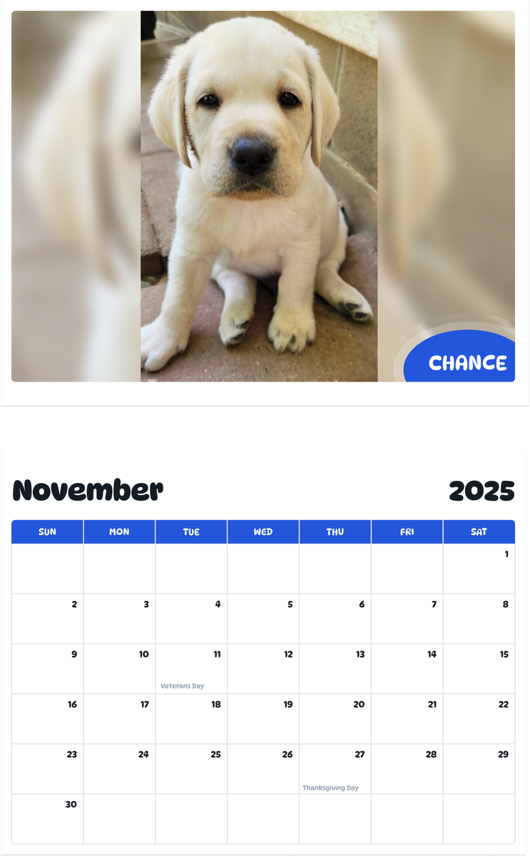 July 2025 - June 2026 Chance - Pawidols Pet Calendar