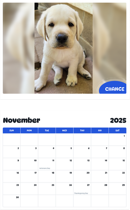 July 2025 - June 2026 Chance - Pawidols Pet Calendar