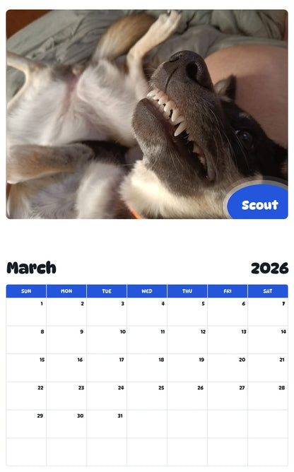 November 2025 - October 2026 Scout - Pawidols Pet Calendar