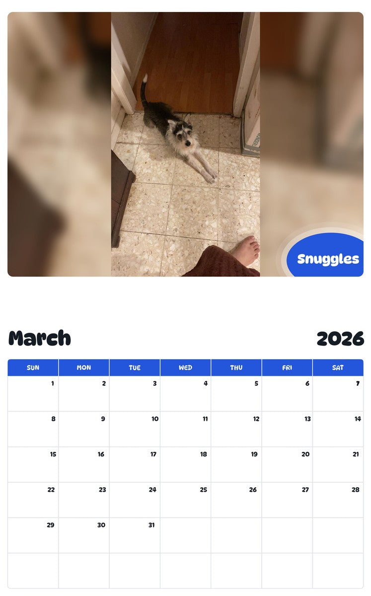 November 2025 - October 2026 Snuggles - Pawidols Pet Calendar