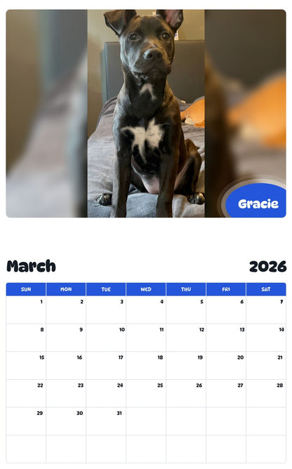 November 2025 - October 2026 Gracie - Pawidols Pet Calendar