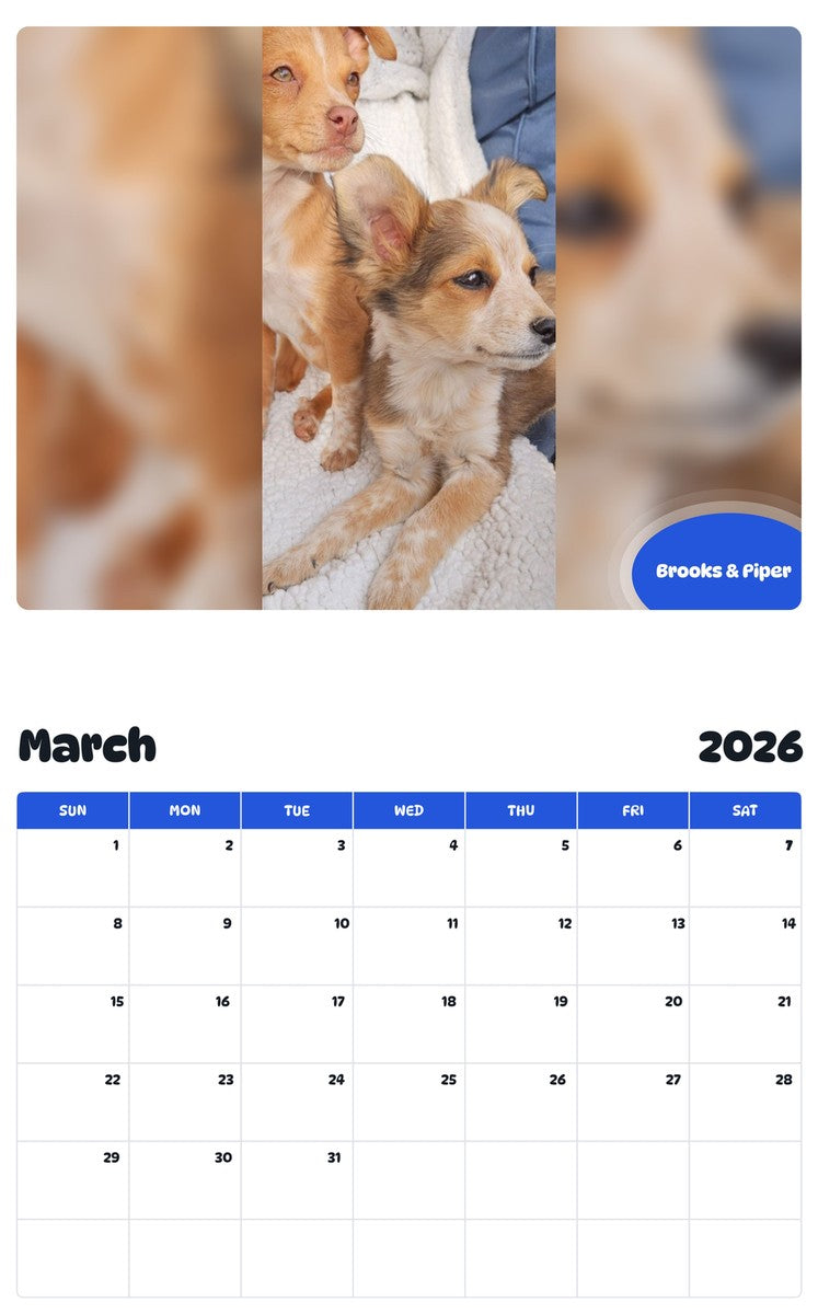 November 2025 - October 2026 Brooks & Piper - Pawidols Pet Calendar