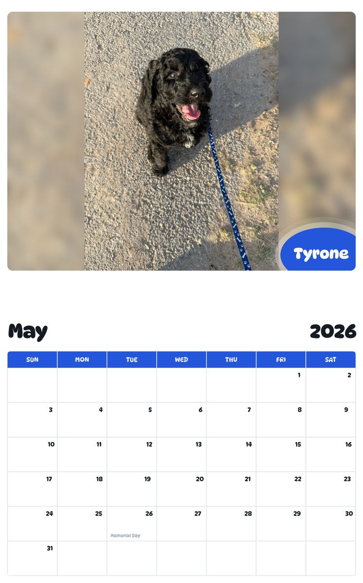 2026 - 2027 Tyrone - Pawidols Pet Calendar