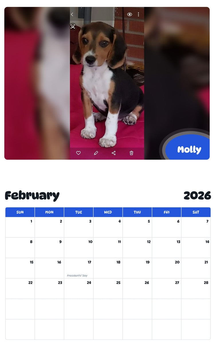 October 2025 - September 2026 Molly - Pawidols Pet Calendar