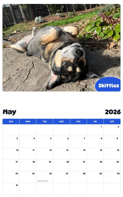 2026 - 2027 Skittles - Pawidols Pet Calendar