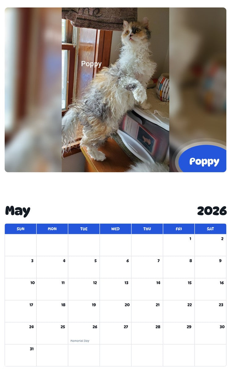2026 - 2027 Poppy - Pawidols Pet Calendar