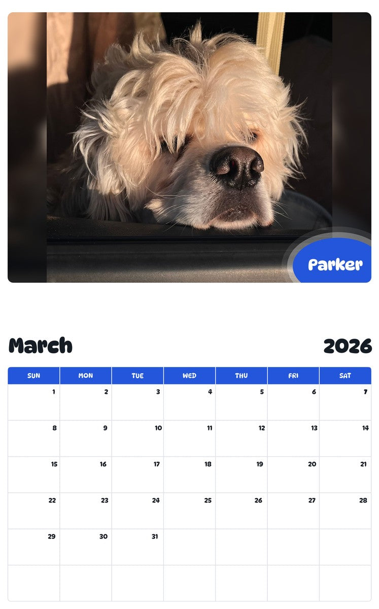November 2025 - October 2026 Parker - Pawidols Pet Calendar