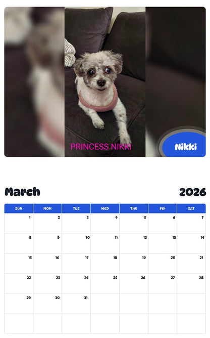 November 2025 - October 2026 Nikki - Pawidols Pet Calendar