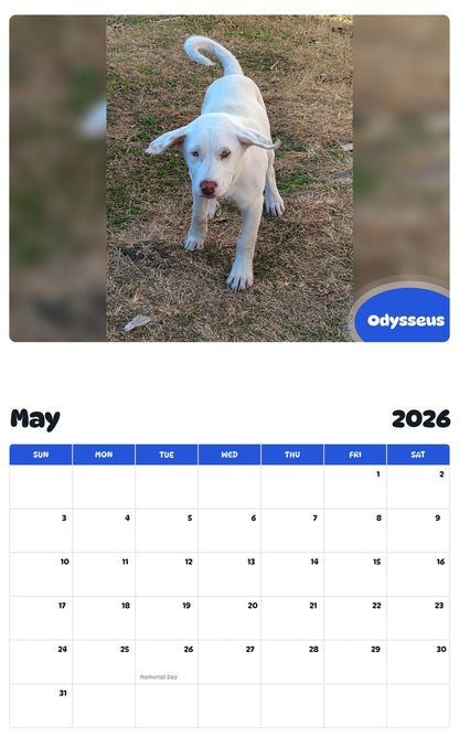 2026 - 2027 Odysseus - Pawidols Pet Calendar