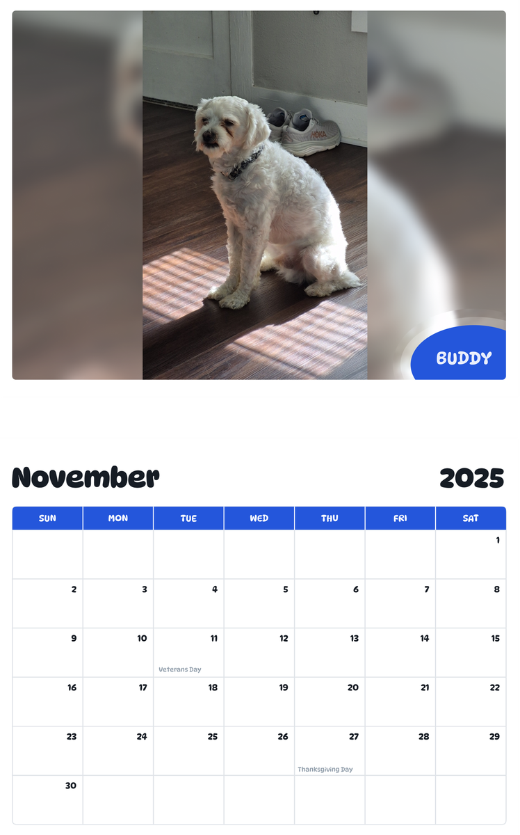 July 2025 - June 2026 Buddy - Pawidols Pet Calendar
