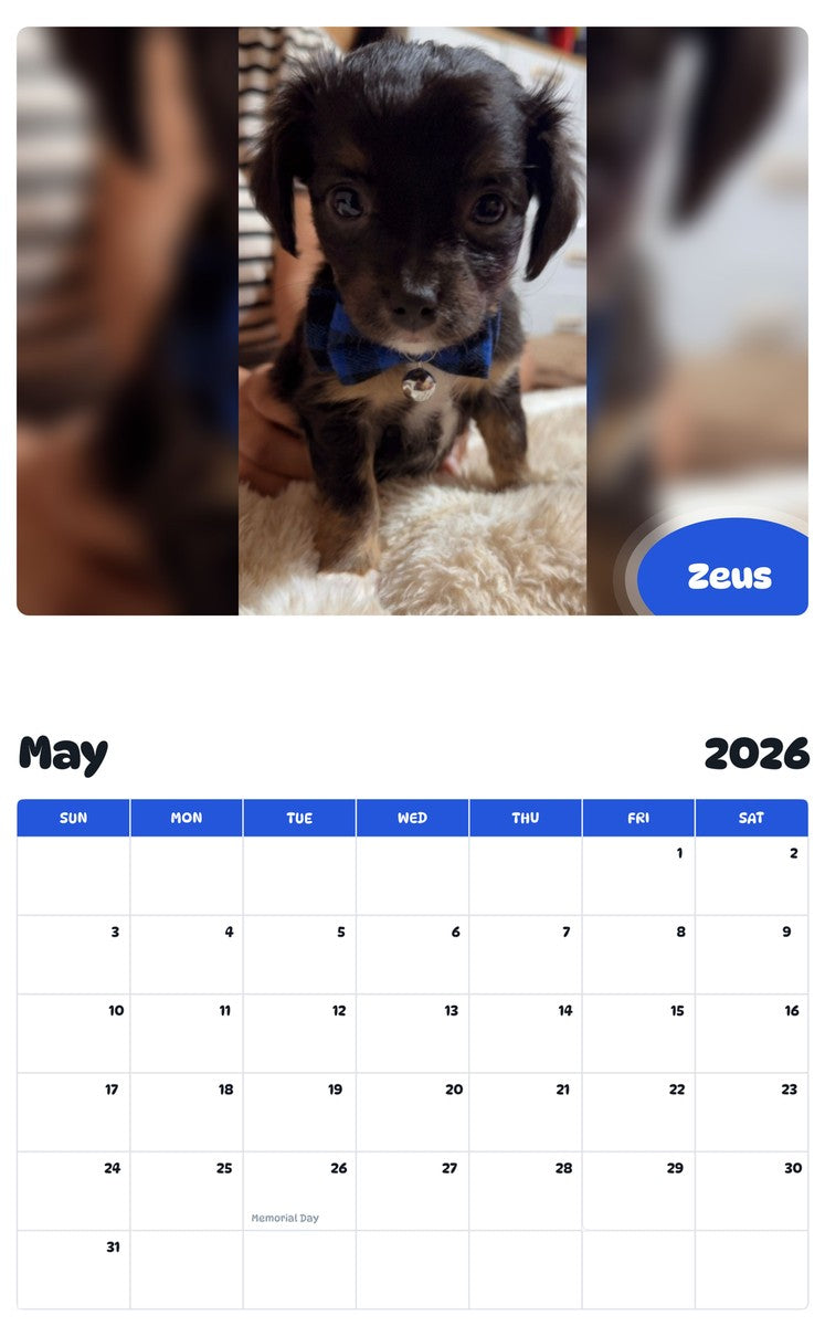 2026 - 2027 Zeus - Pawidols Pet Calendar