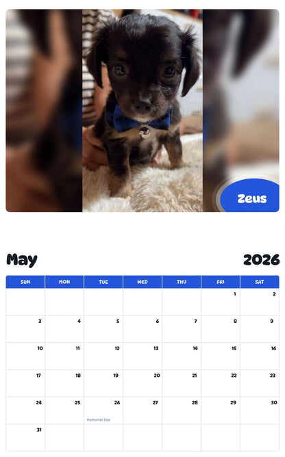 2026 - 2027 Zeus - Pawidols Pet Calendar