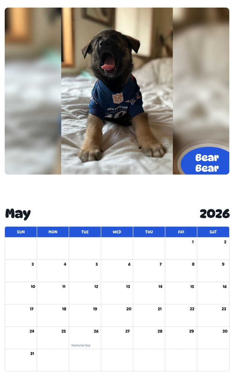 2026 - 2027 Bear Bear - Pawidols Pet Calendar