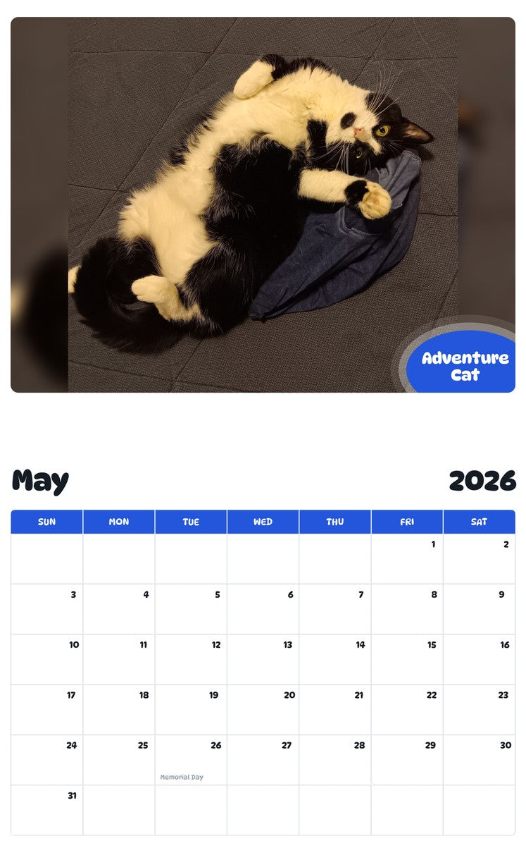 2026 - 2027 Adventure Cat - Pawidols Pet Calendar