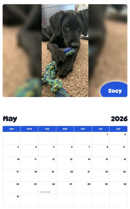 2026 - 2027 Zoey - Pawidols Pet Calendar
