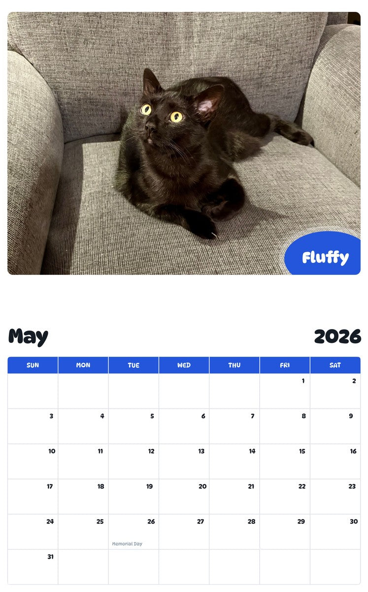 2026 - 2027 Fluffy - Pawidols Pet Calendar