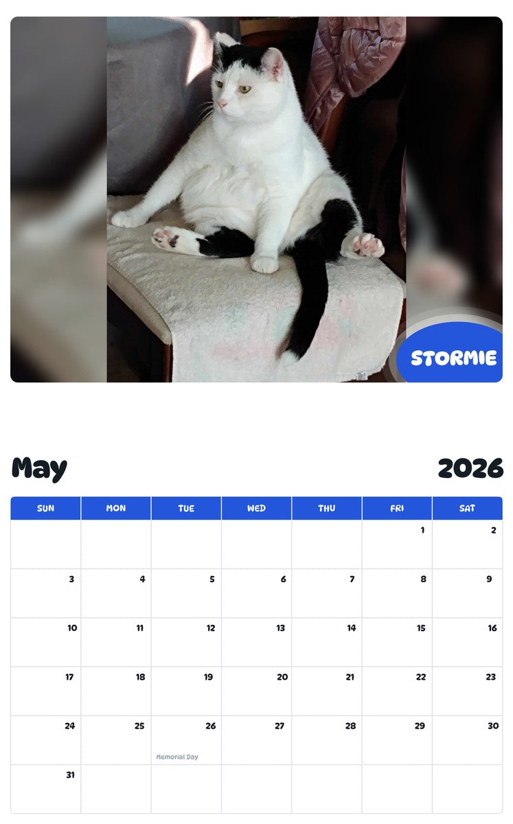 2026 - 2027 STORMIE - Pawidols Pet Calendar