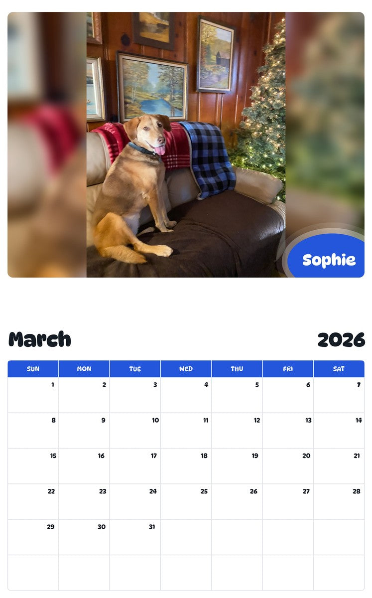 November 2025 - October 2026 Sophie - Pawidols Pet Calendar