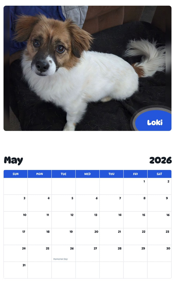 2026 - 2027 Loki - Pawidols Pet Calendar