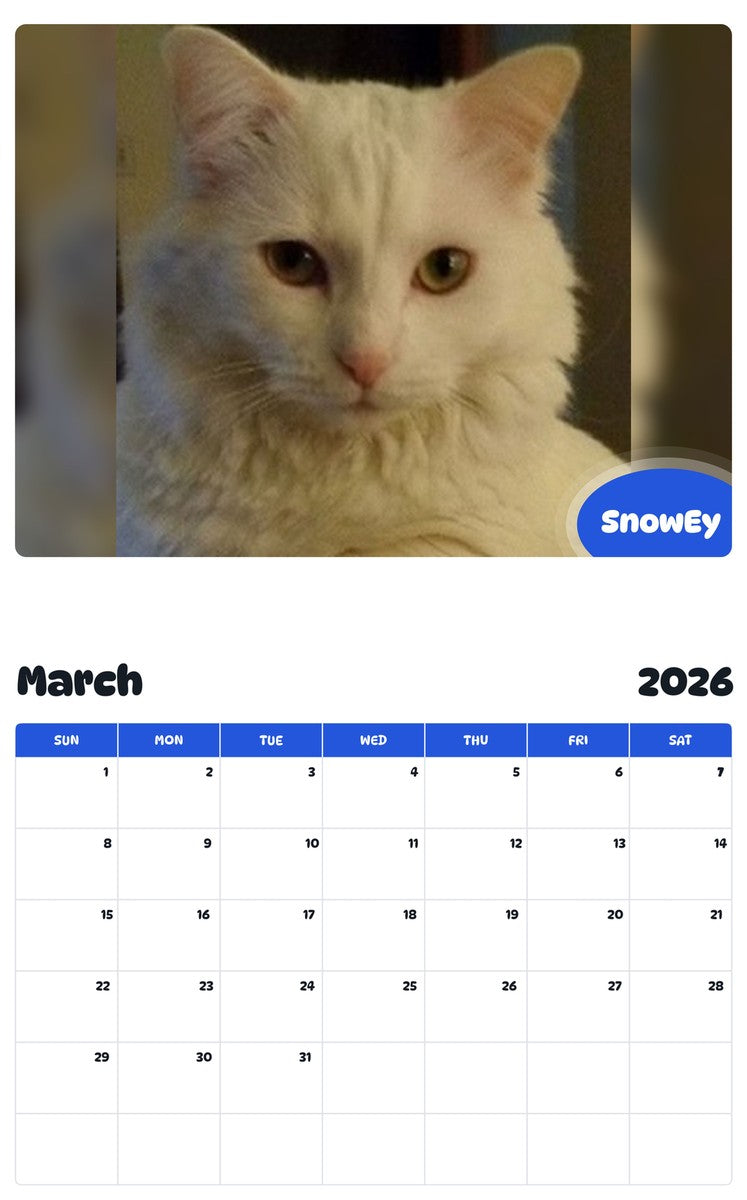 November 2025 - October 2026 SnowEy - Pawidols Pet Calendar