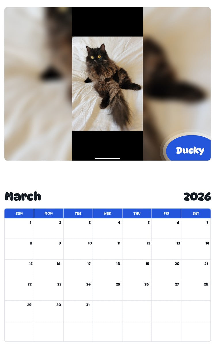 November 2025 - October 2026 Ducky - Pawidols Pet Calendar
