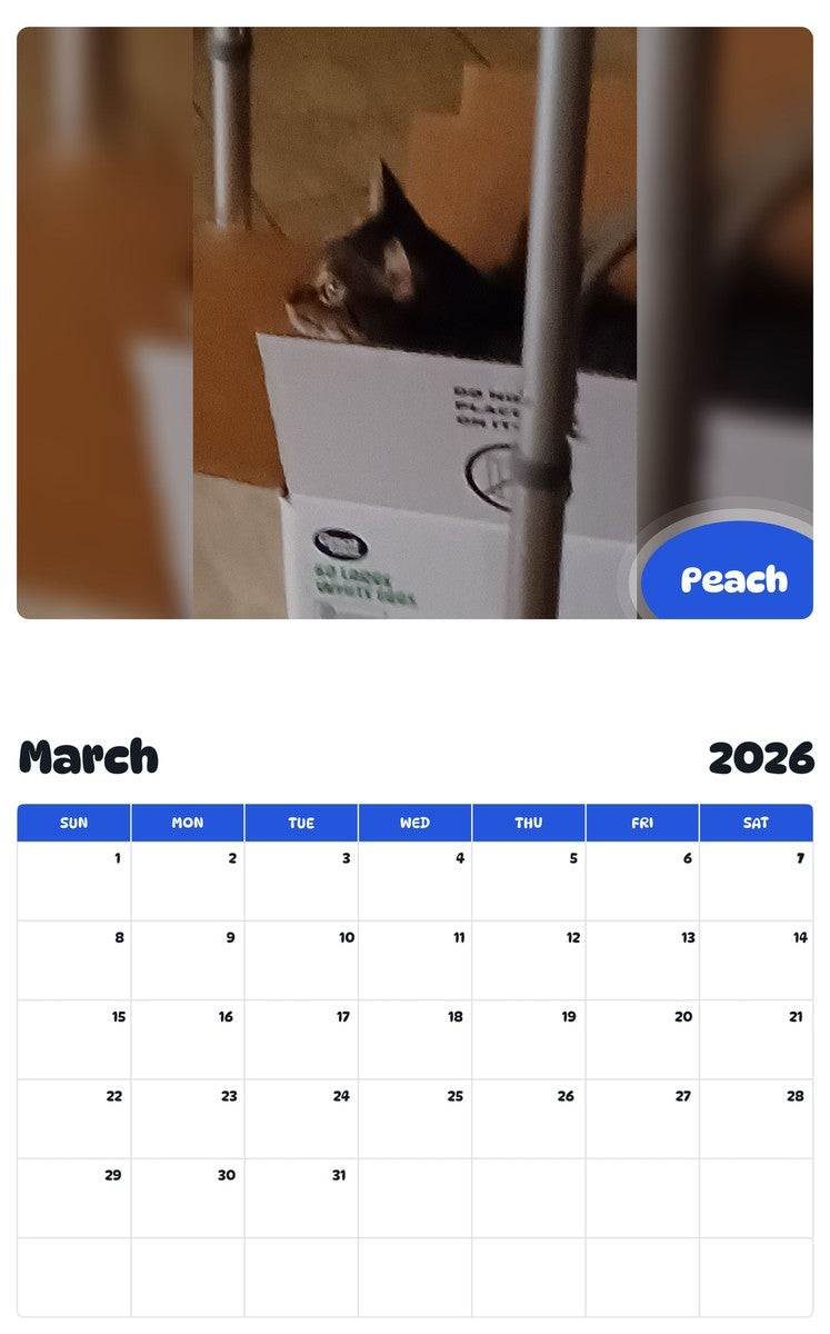 November 2025 - October 2026 Peach - Pawidols Pet Calendar