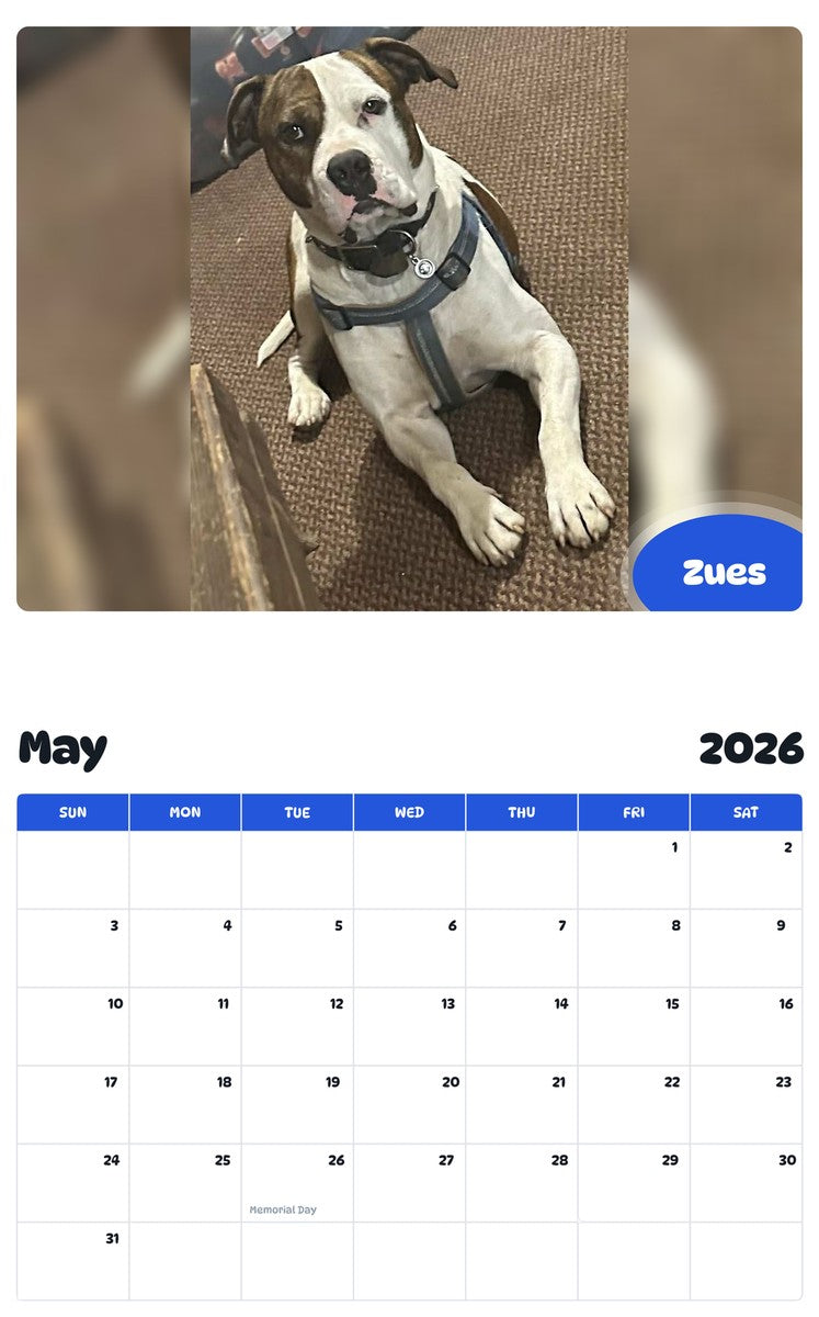 2026 - 2027 Zues - Pawidols Pet Calendar