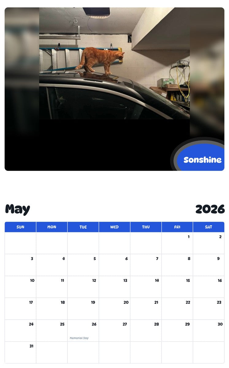 2026 - 2027 Sonshine - Pawidols Pet Calendar