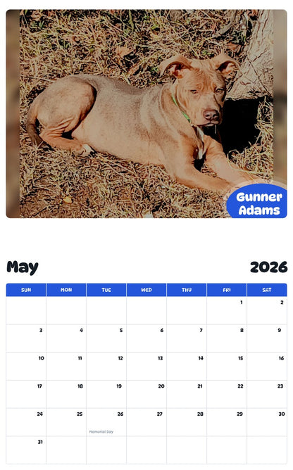 2026 - 2027 Gunner Adams - Pawidols Pet Calendar