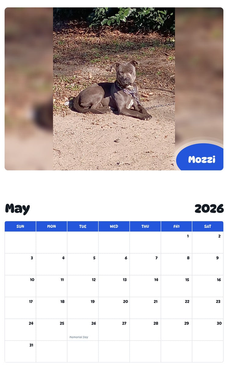 2026 - 2027 Mozzi - Pawidols Pet Calendar