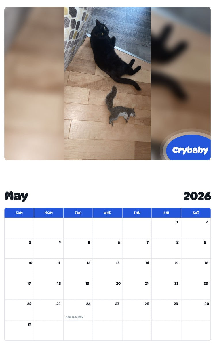 2026 - 2027 Crybaby - Pawidols Pet Calendar