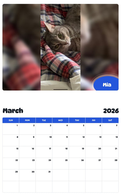 November 2025 - October 2026 Mia - Pawidols Pet Calendar
