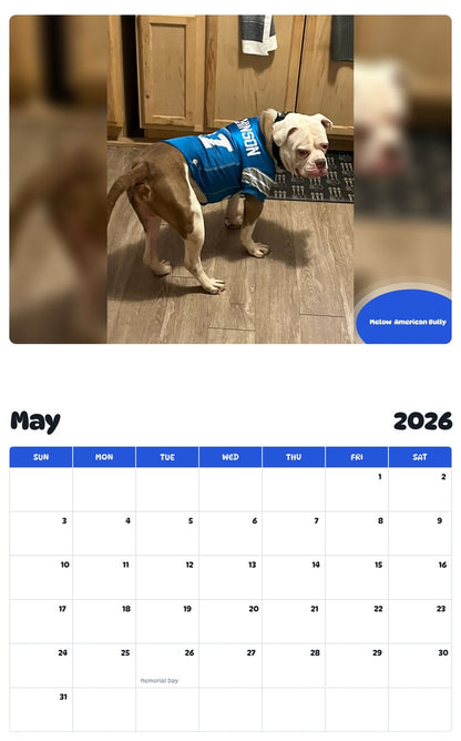 2026 - 2027 Melow  American Bully - Pawidols Pet Calendar