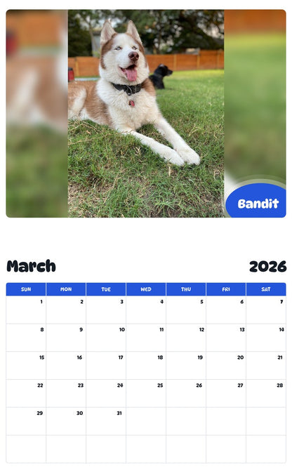 November 2025 - October 2026 Bandit - Pawidols Pet Calendar