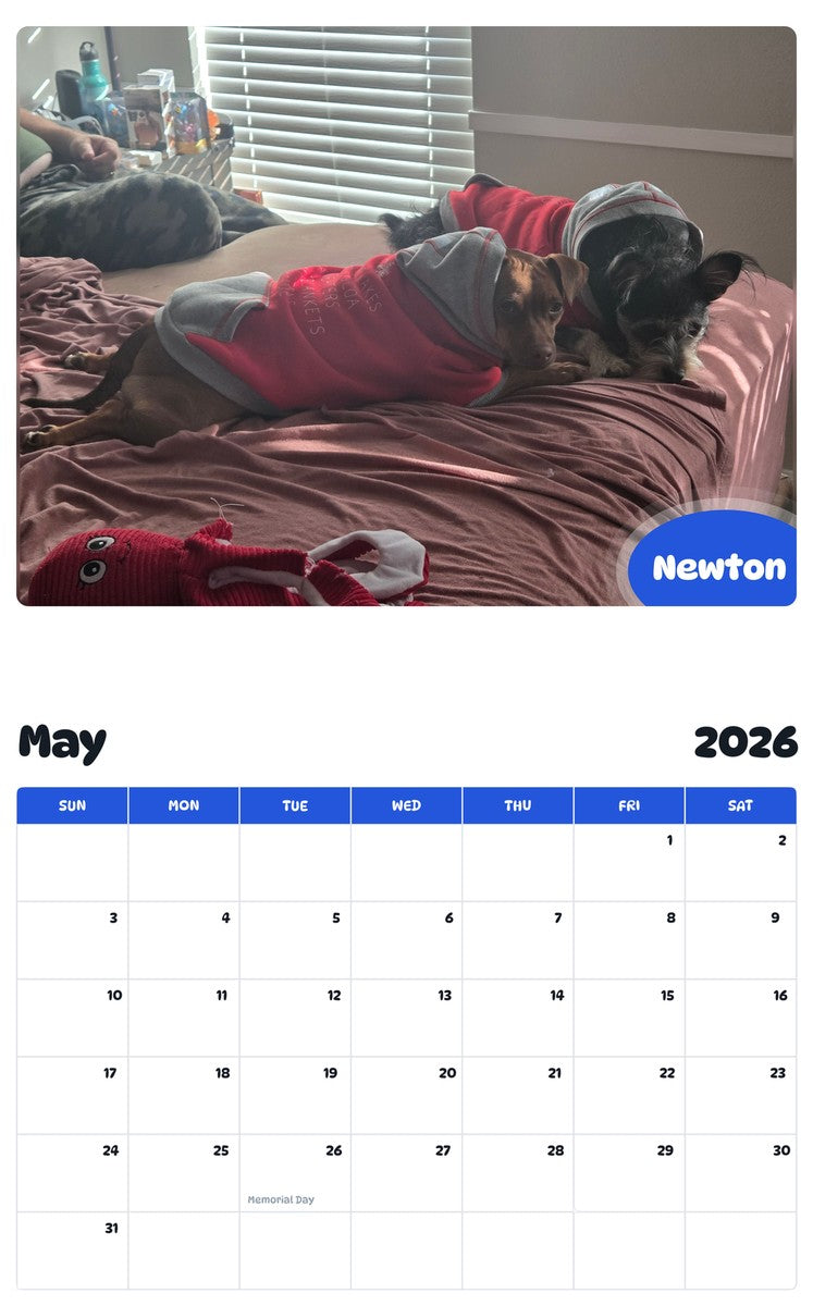 2026 - 2027 Newton - Pawidols Pet Calendar