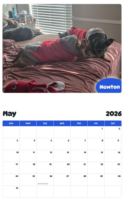 2026 - 2027 Newton - Pawidols Pet Calendar
