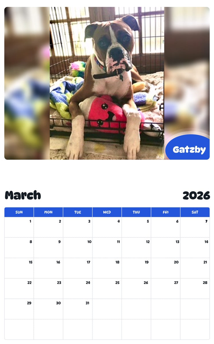 November 2025 - October 2026 Gatzby - Pawidols Pet Calendar