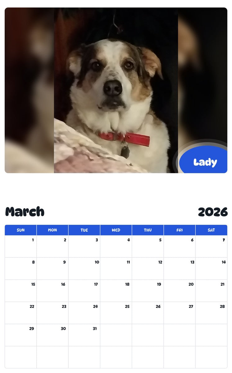 November 2025 - October 2026 Lady - Pawidols Pet Calendar