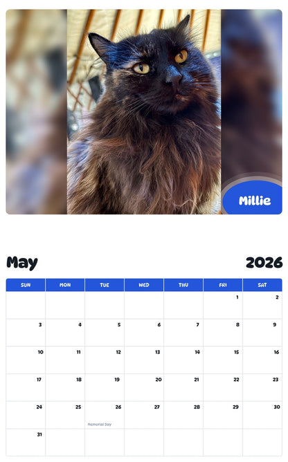 2026 - 2027 Millie - Pawidols Pet Calendar