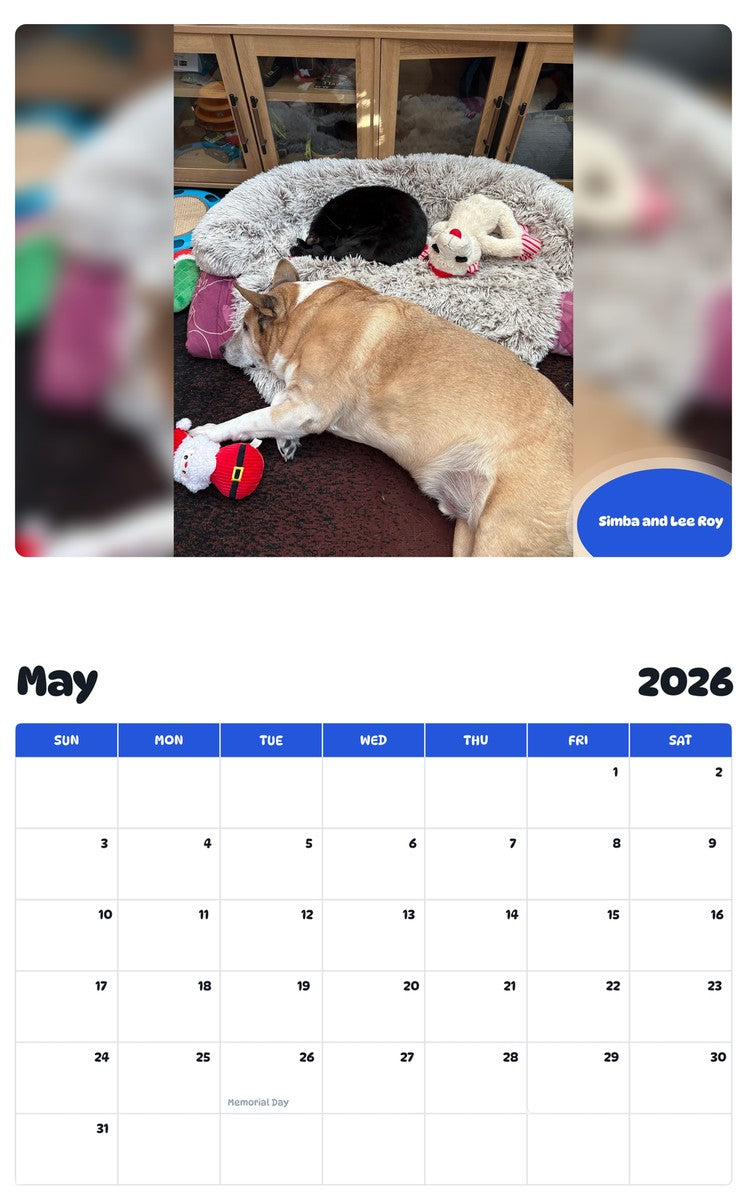 2026 - 2027 Simba and Lee Roy - Pawidols Pet Calendar
