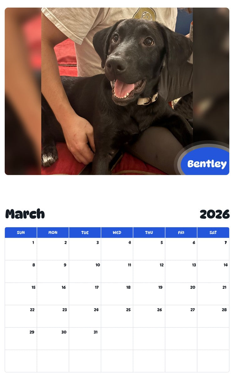 November 2025 - October 2026 Bentley - Pawidols Pet Calendar